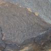 Image of  BES20 2238