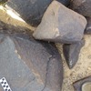 Image of  BES20 2238