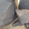 Image of  BES20 2238