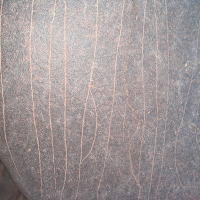 inscription of siglum AAEK 170