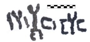 inscription of siglum AAEK 28