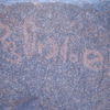 inscription of siglum AAEK 356