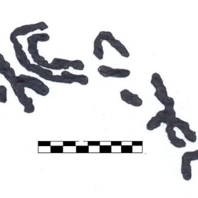 inscription of siglum AAEK 54