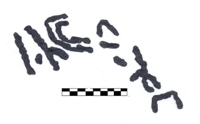 inscription of siglum AAEK 54