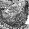 inscription of siglum AAEK 9