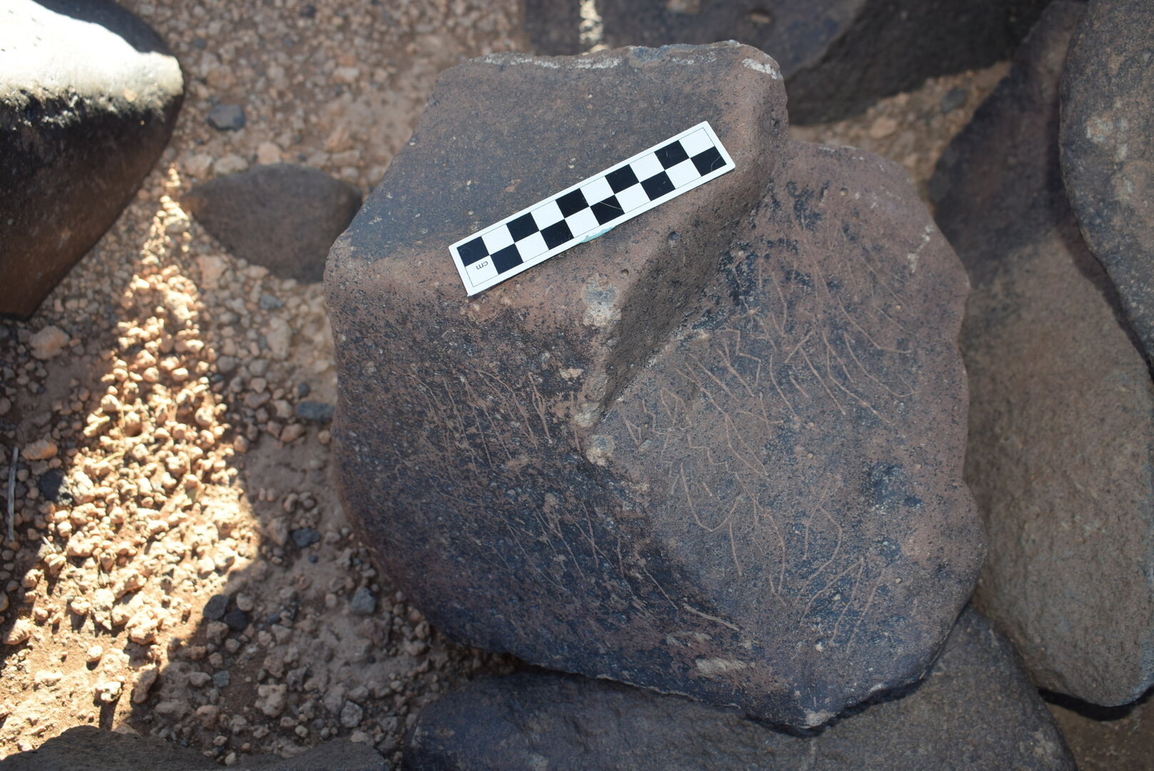 inscription of siglum AAWHA 130
