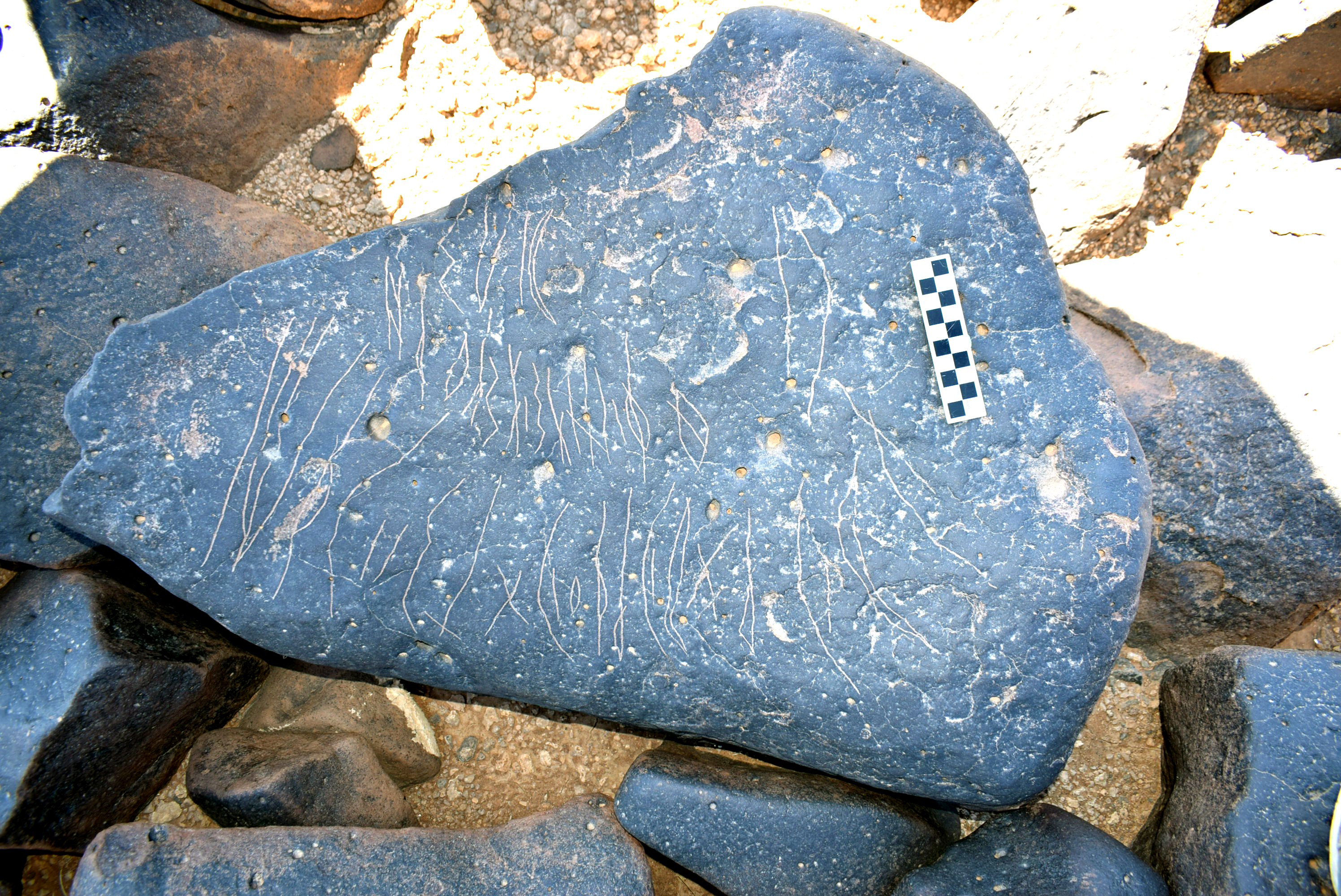 inscription of siglum AAWHA 14