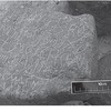 Image of ABSG 1