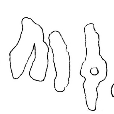 inscription of siglum AH 194