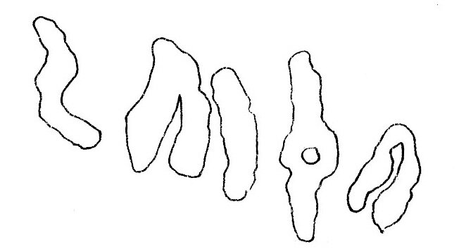 inscription of siglum AH 194