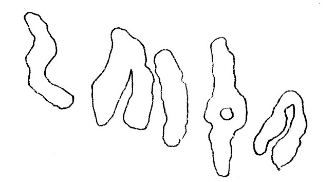 inscription of siglum AH 194