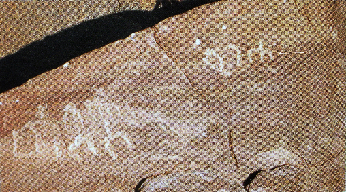 inscription of siglum AH 294