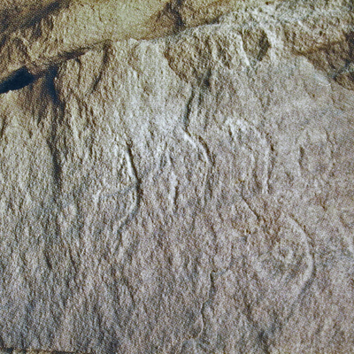 inscription of siglum AH 298