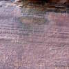 inscription of siglum AH 310