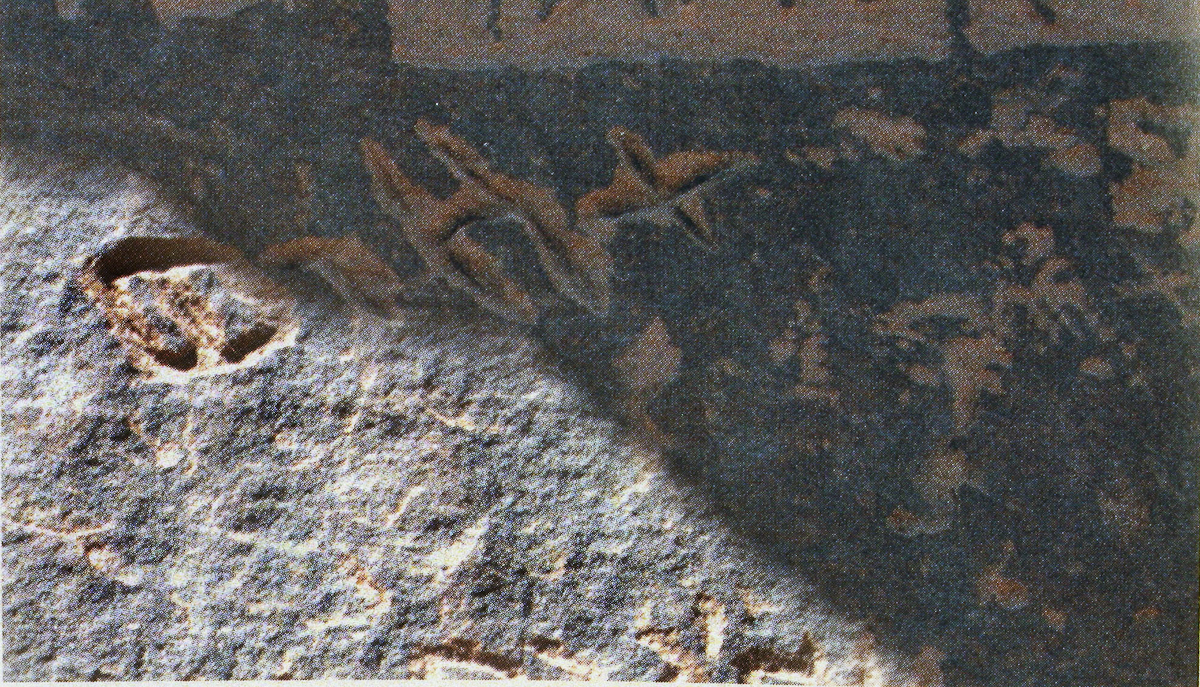 inscription of siglum AH 333