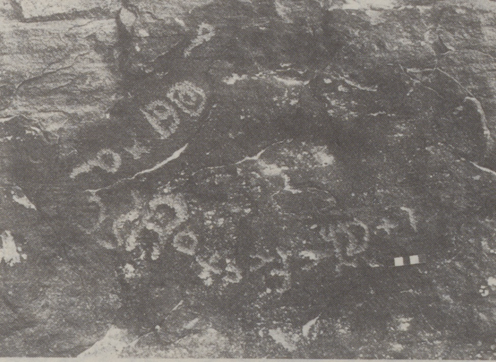 inscription of siglum AMJ 005