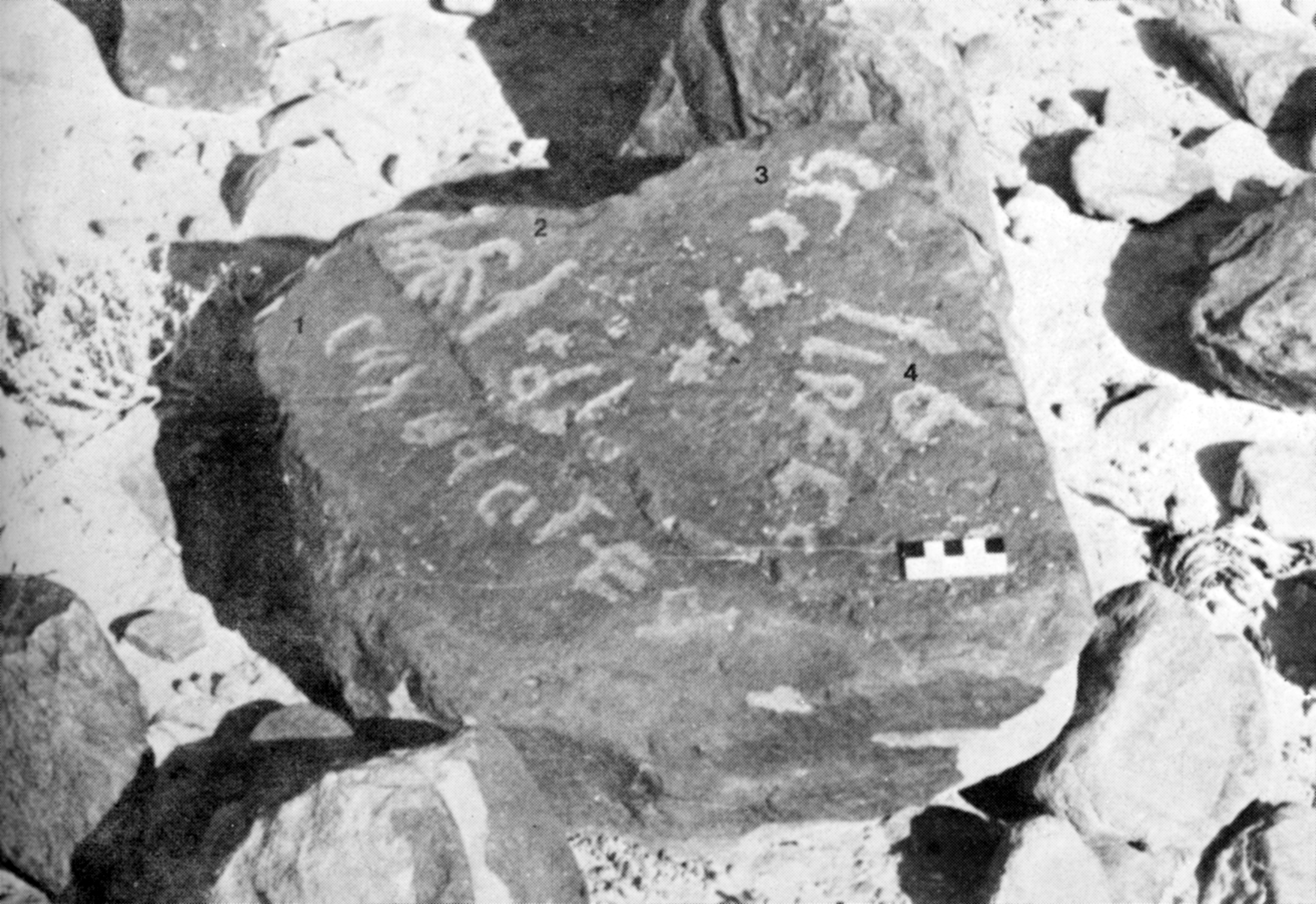 inscription of siglum AMJ 010