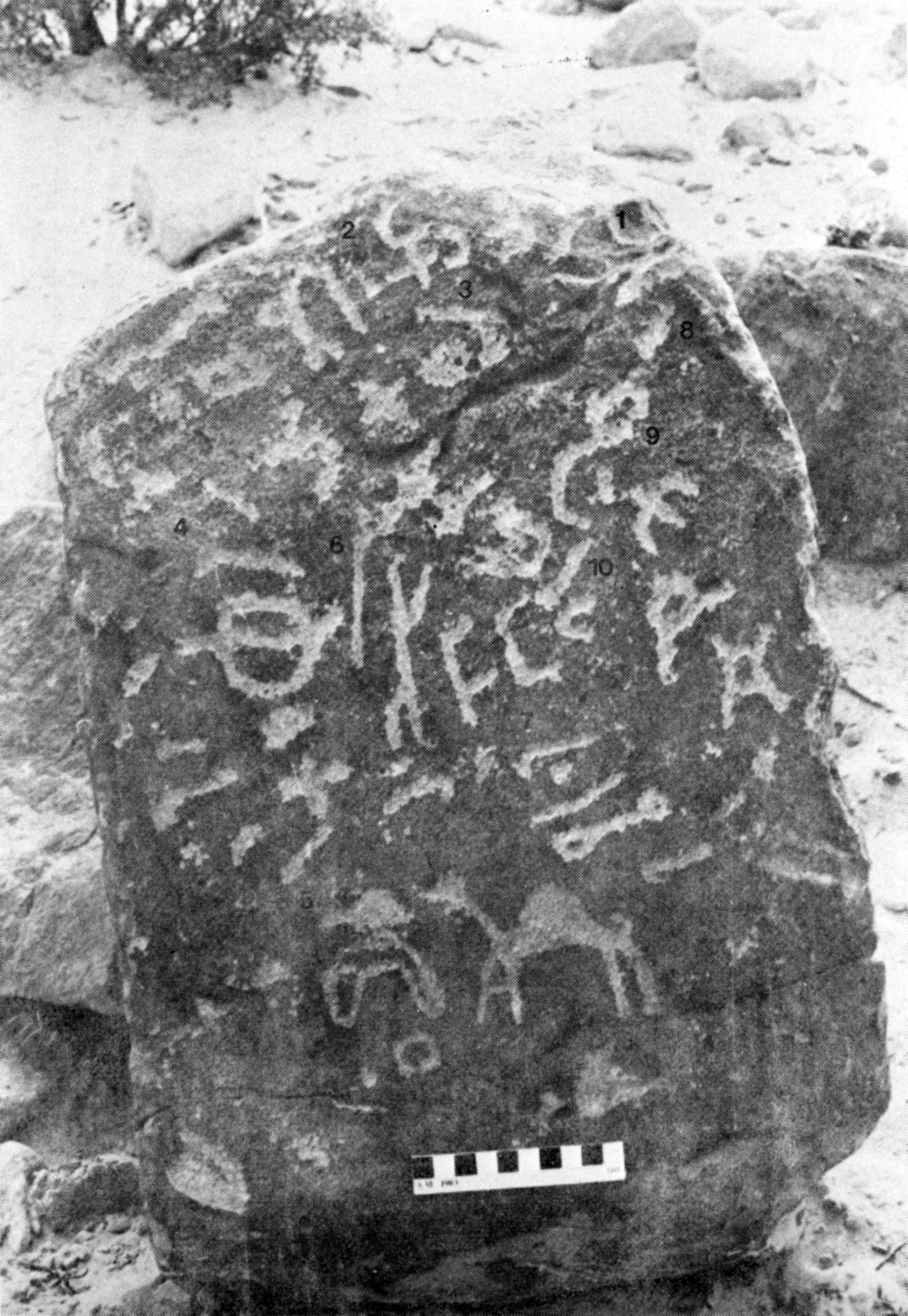 inscription of siglum AMJ 015