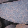 inscription of siglum AMSI 104