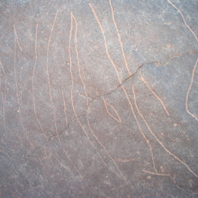 inscription of siglum AMSI 117