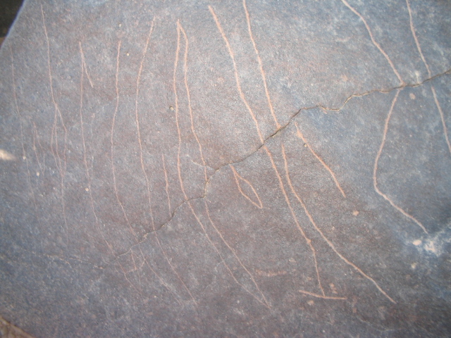 inscription of siglum AMSI 117