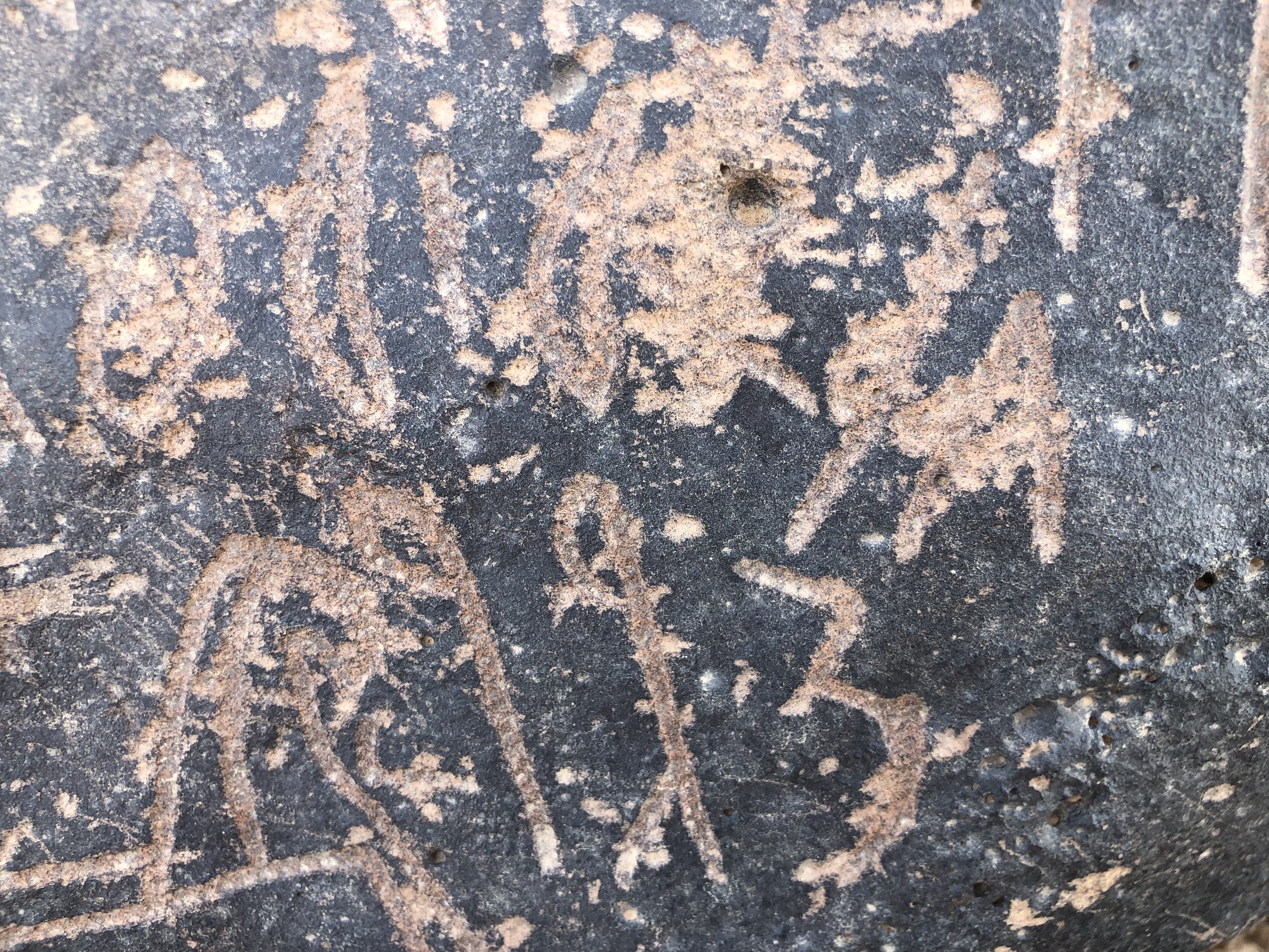 Detail of siglum AMSI 41