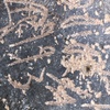 Detail of siglum AMSI 41