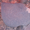 inscription of siglum AMSI 42