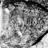 inscription of siglum AMSI 50