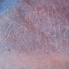 inscription of siglum AMSI 64