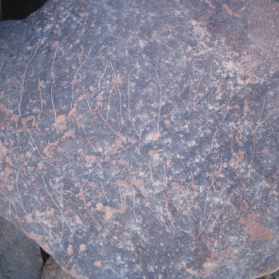 inscription of siglum AMSI 92