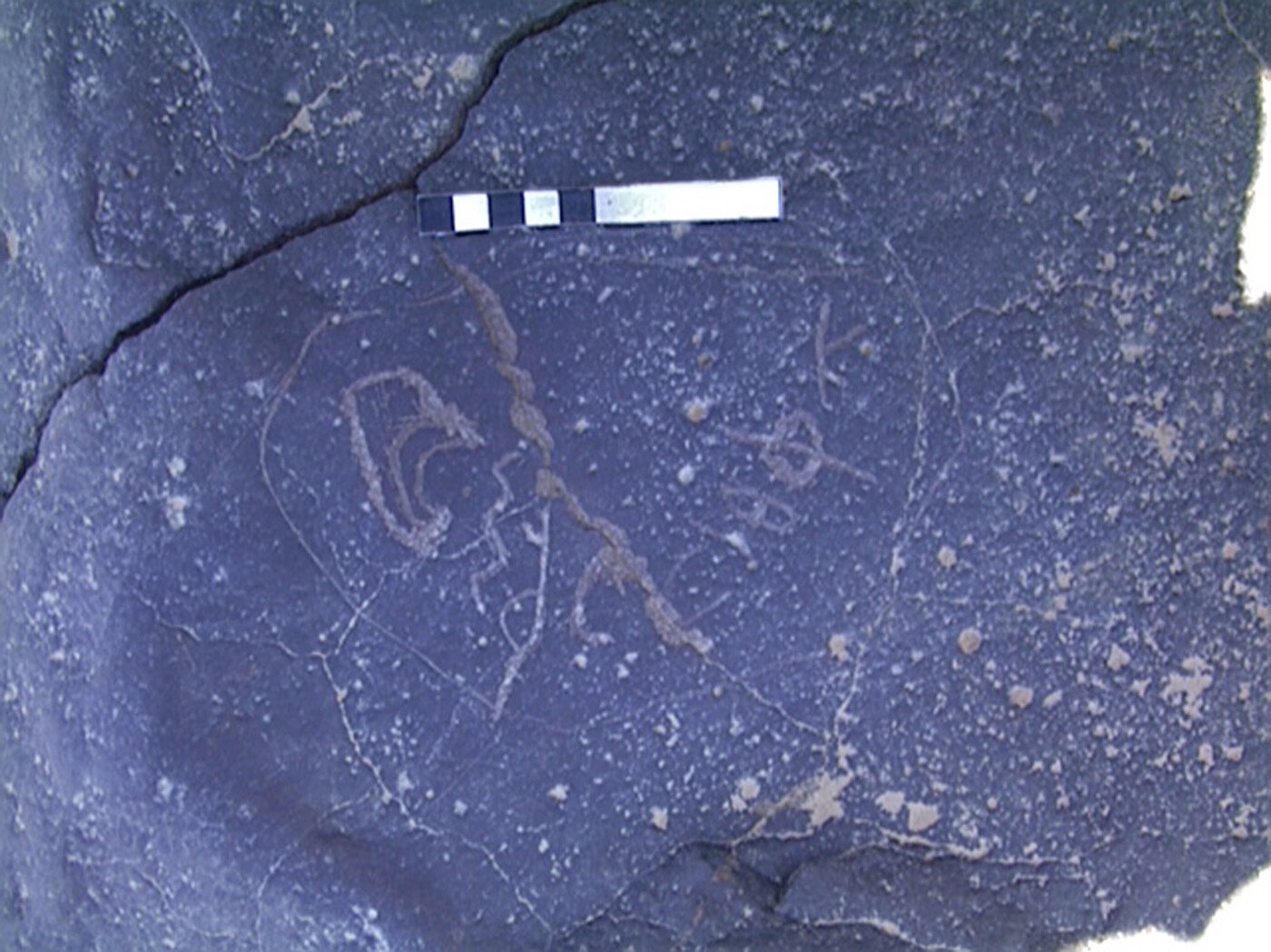 inscription of siglum AMWR 100