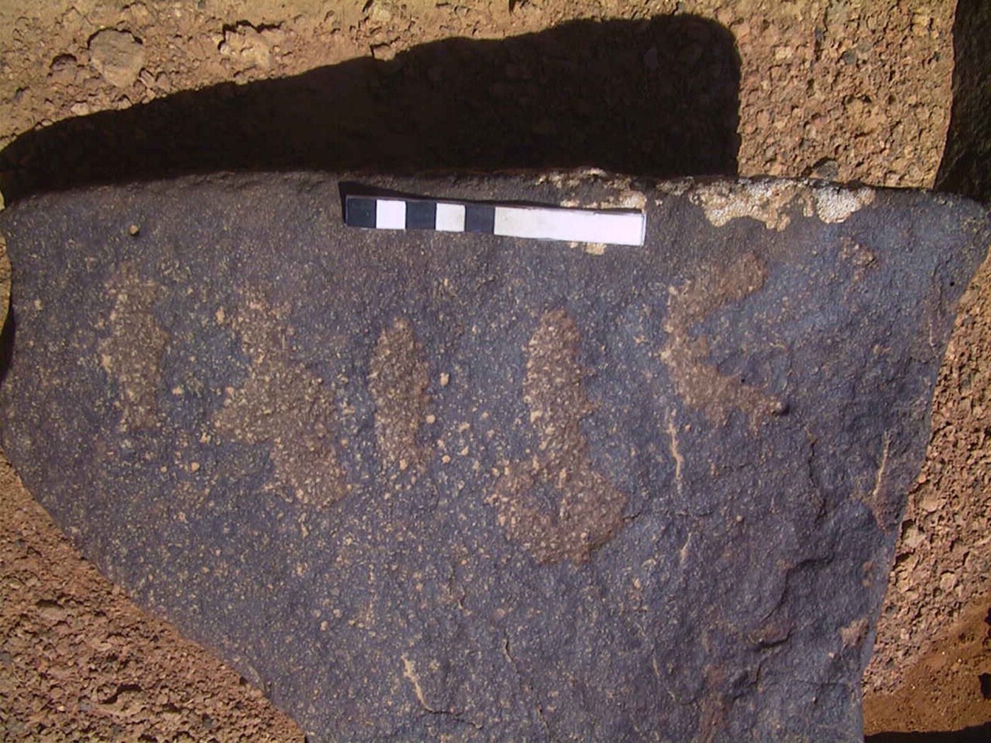 inscription of siglum AMWR 169