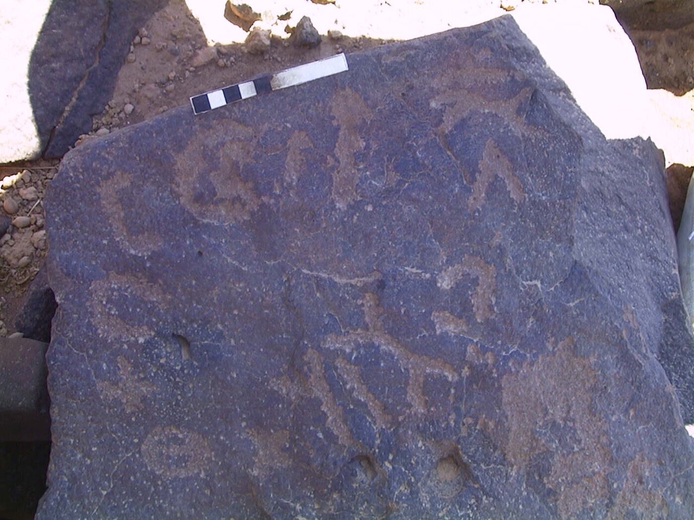 inscription of siglum AMWR 231