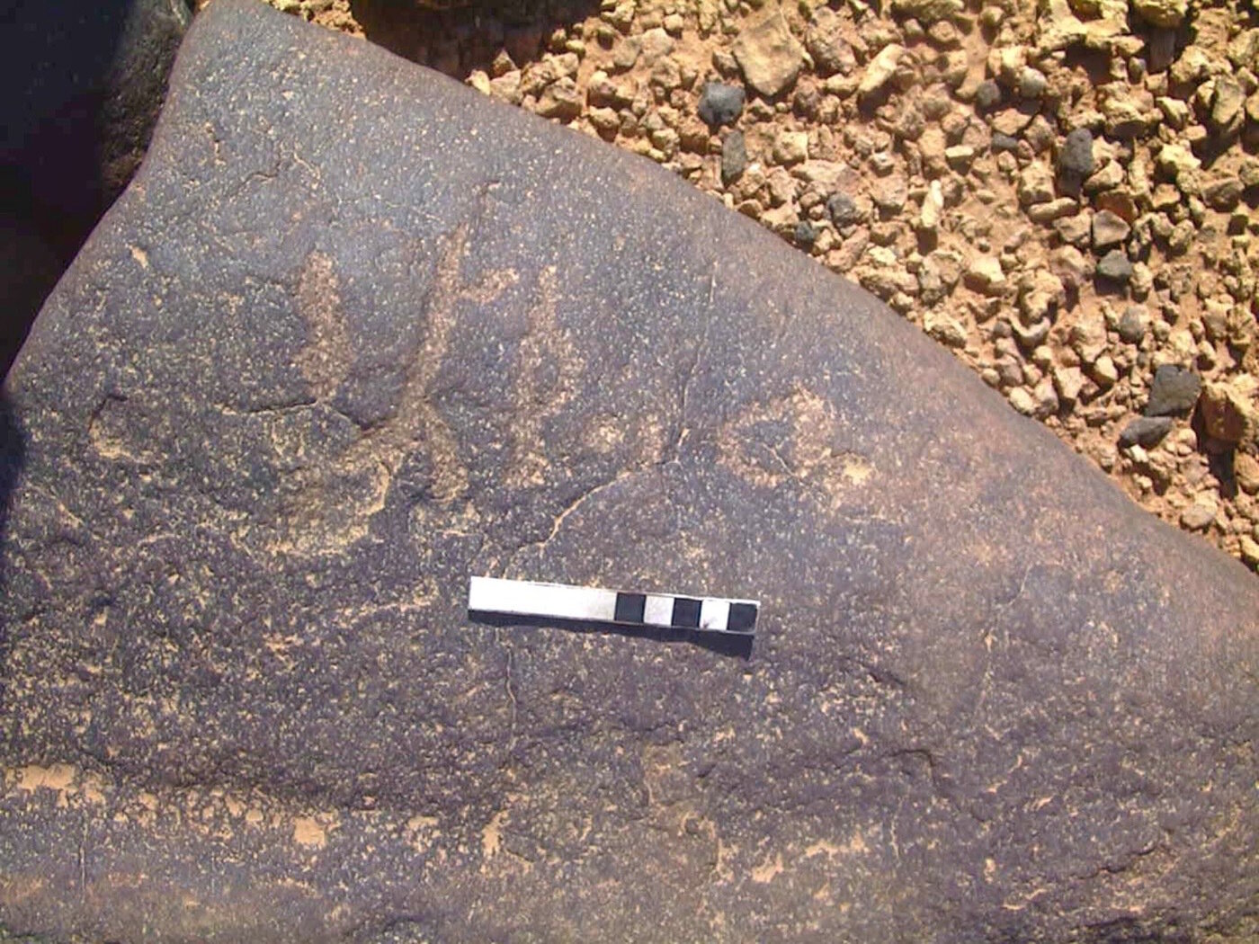 inscription of siglum AMWR 282