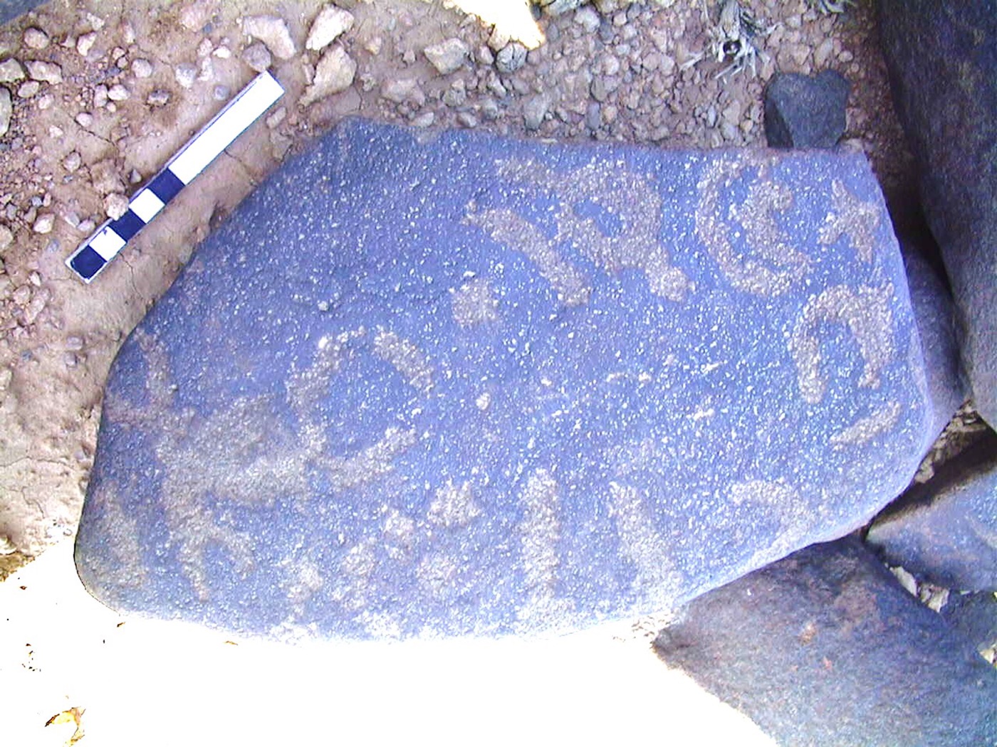 inscription of siglum AMWR 294