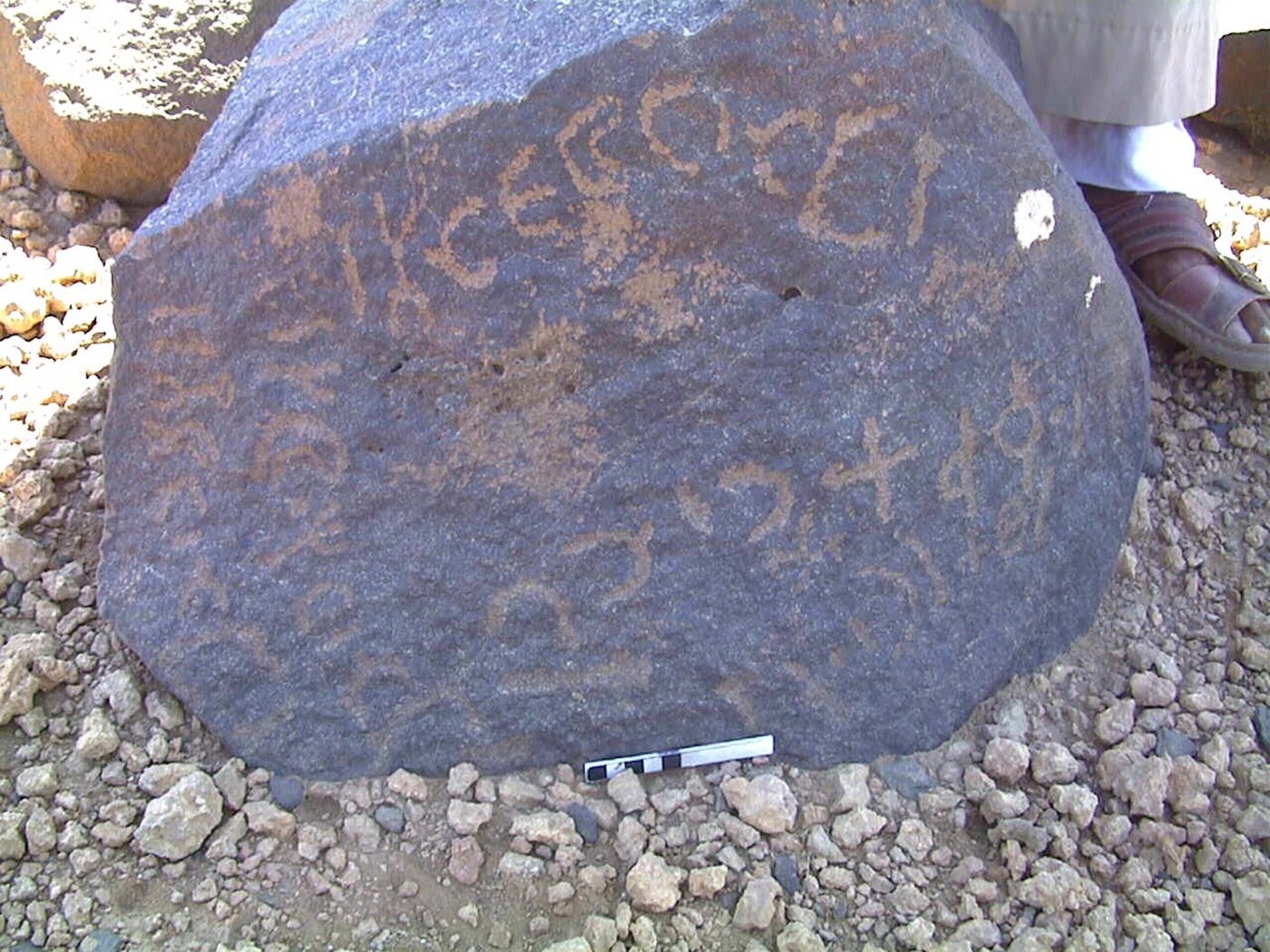 inscription of siglum AMWR 318