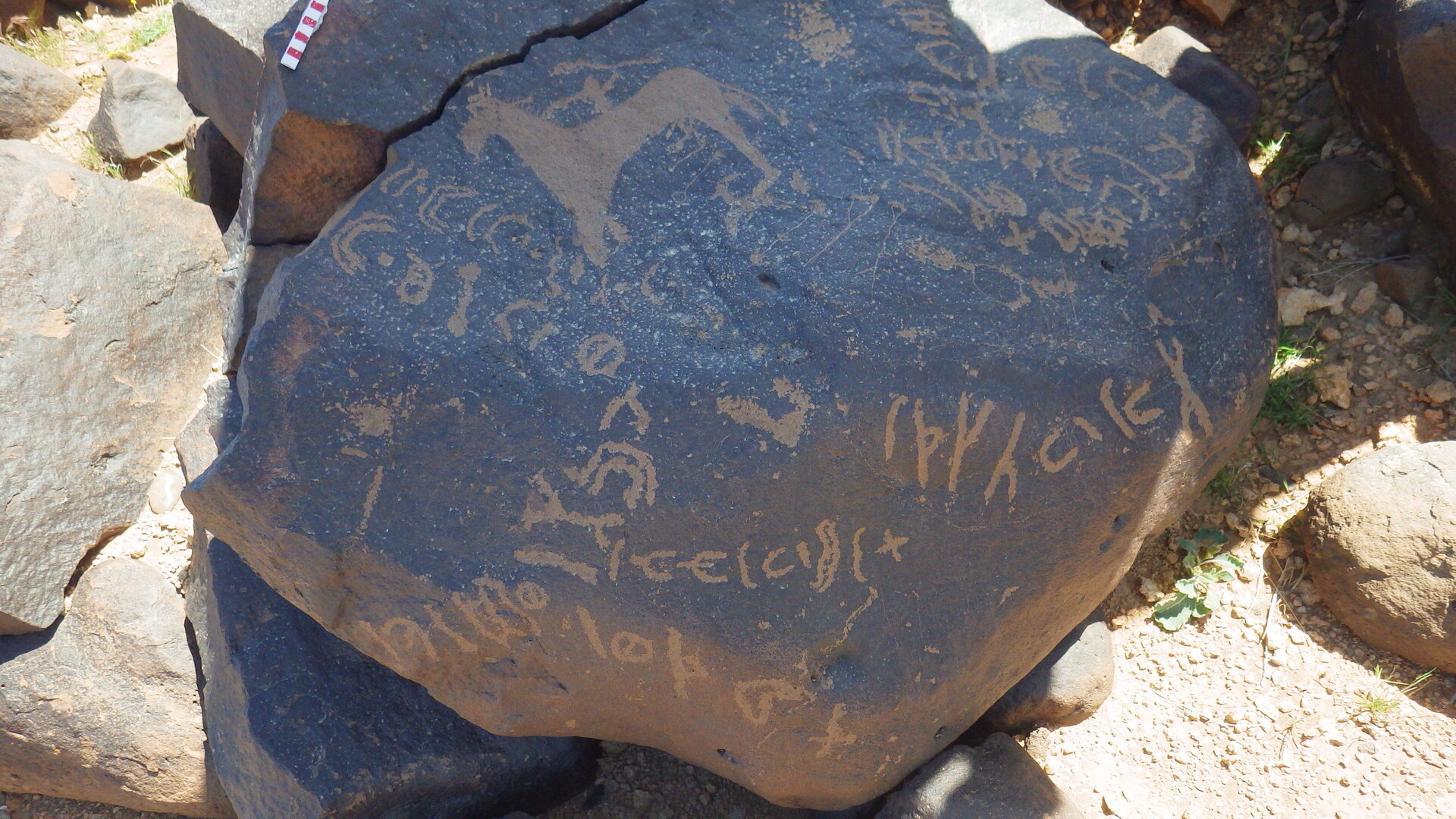 inscription of siglum AMWR 343