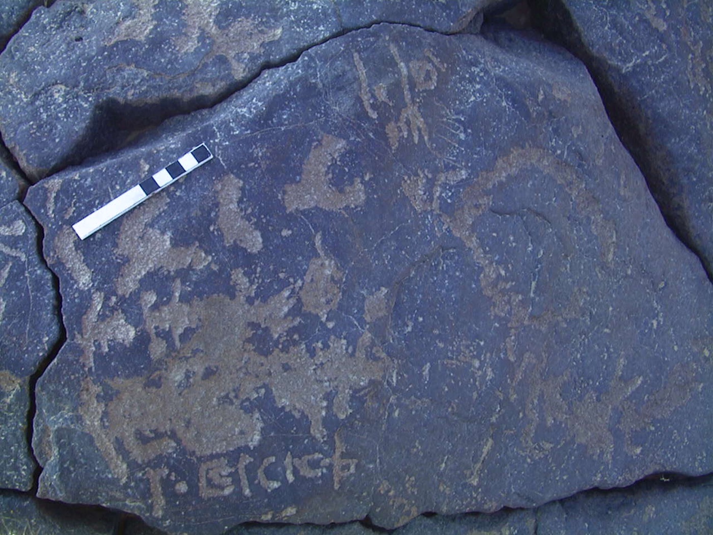 inscription of siglum AMWR 408
