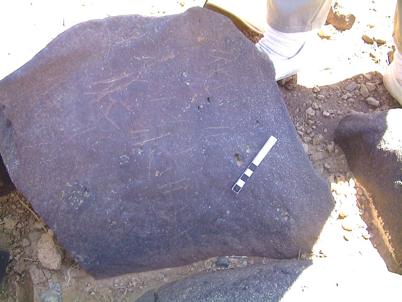 inscription of siglum AMWR 423