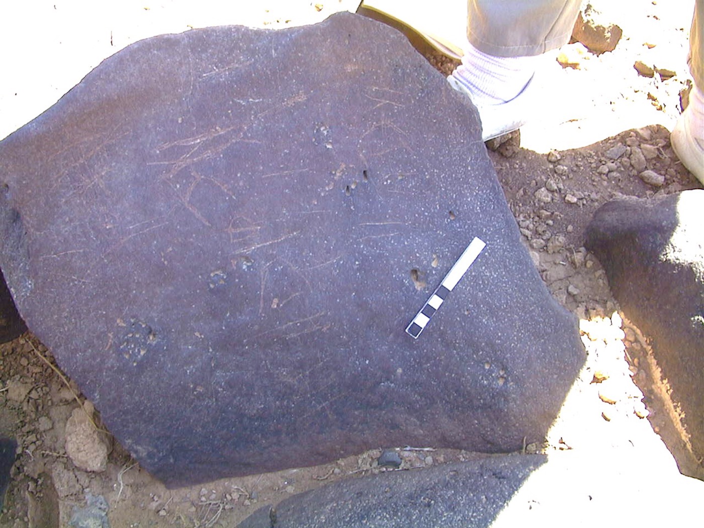 inscription of siglum AMWR 423