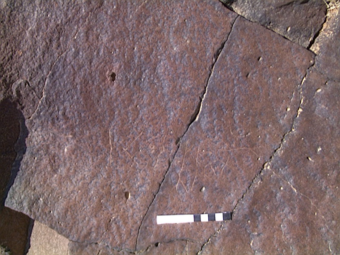 inscription of siglum AMWR 436