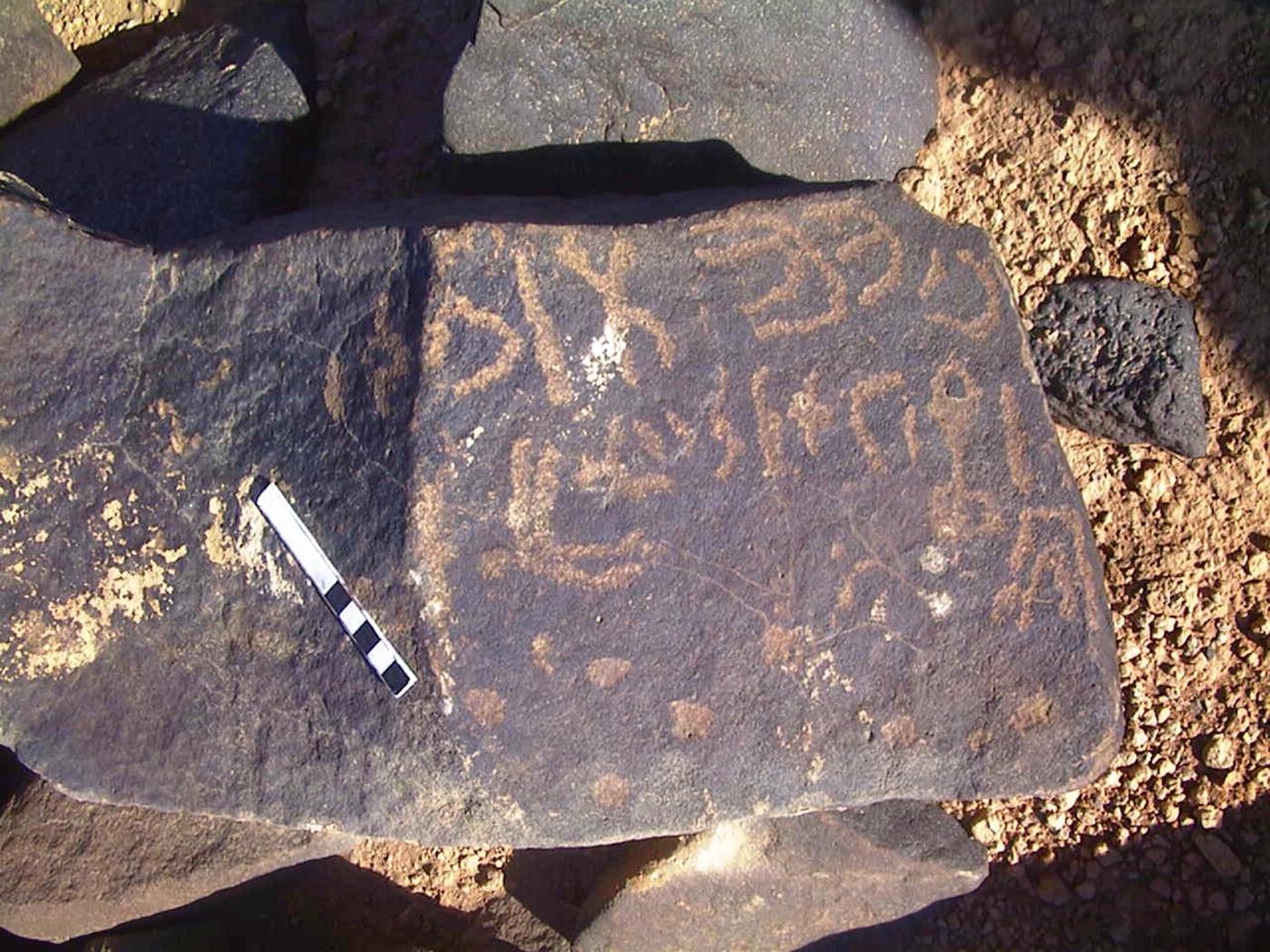 inscription of siglum AMWR 442