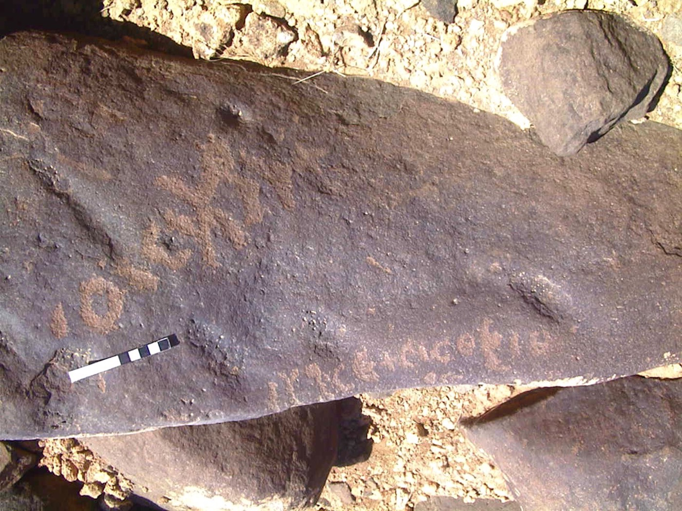 inscription of siglum AMWR 443
