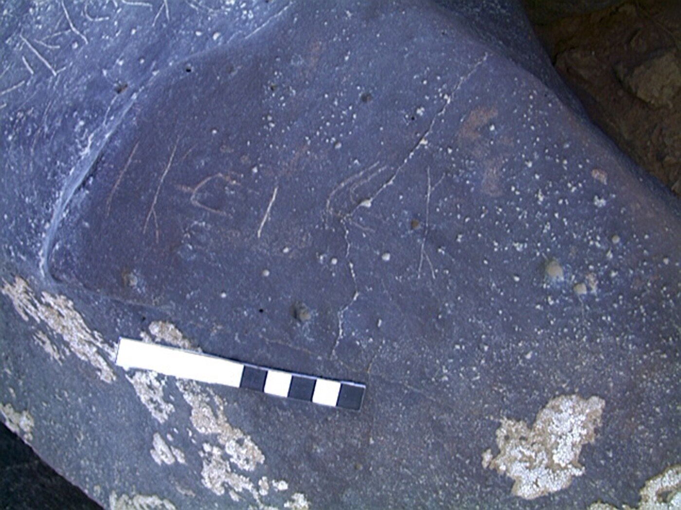inscription of siglum AMWR 50