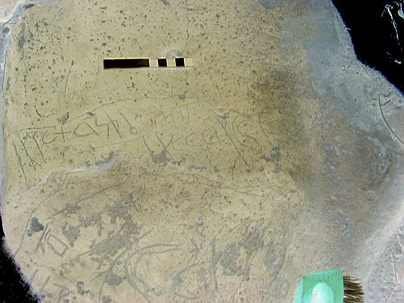 inscription of siglum AMWR 81