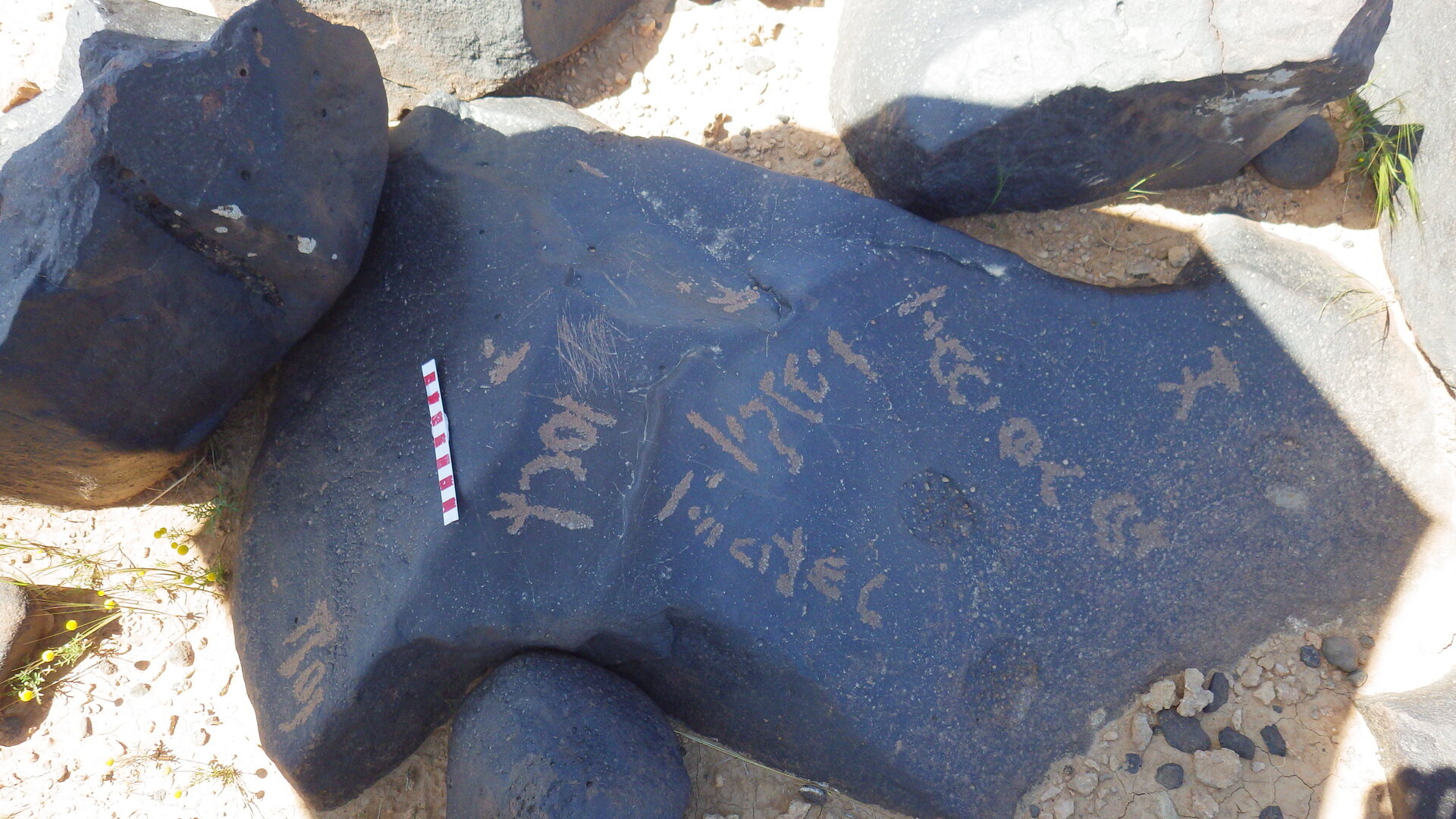inscription of siglum AMWR 95