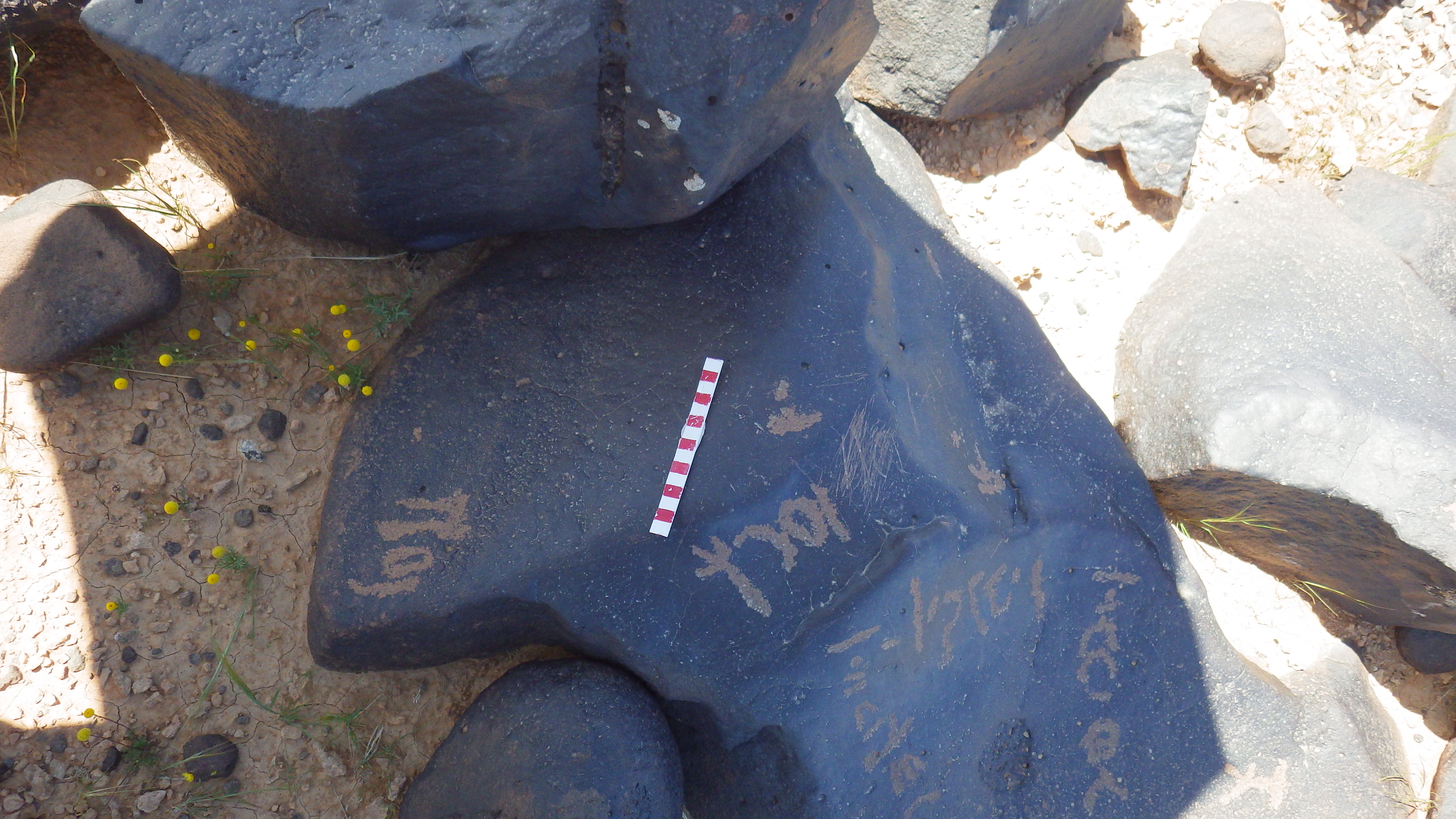 inscription of siglum AMWR 95