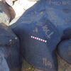 inscription of siglum AMWR 95