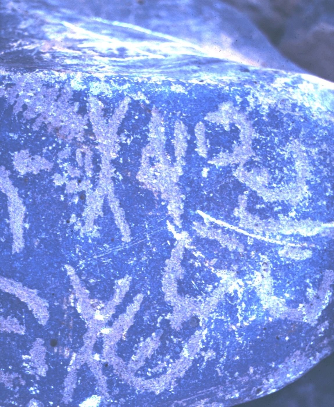 inscription of siglum ASFF 144